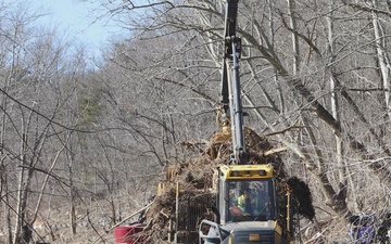 Waterway Debris Removal Swannanoa, North Carolina