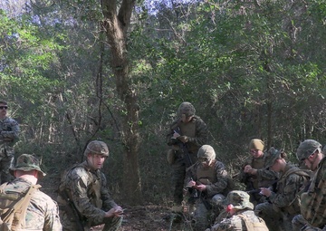 2nd MAW Band conducts security force training (b-roll)