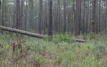 3rd Infantry Division Soldiers Test on Sniper Qualification Range