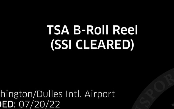 IAD Checkpoint and Terminal B-Roll