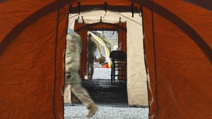 Homeland Response Force