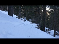 Marines with V35 conduct cold-weather patrols during Winter Mountain Leaders Course 1-25