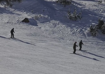 Marines in Winter Mountain Leaders Course 1-25 practice downhill skiing