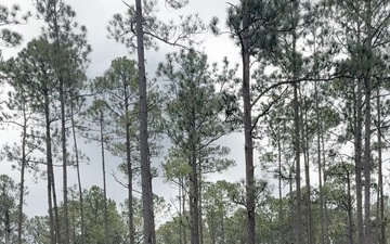 3rd Infantry Division Soldiers Complete Sniper Qualification Range