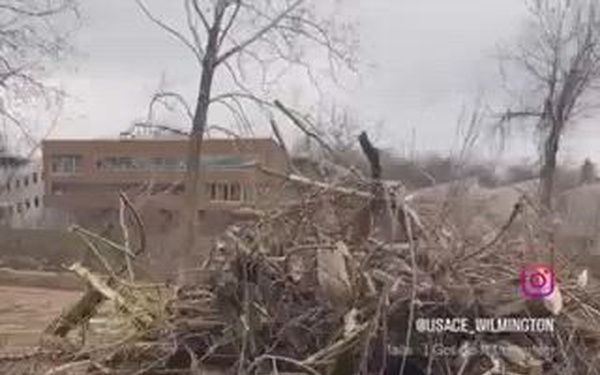 Waterway Debris Reel