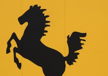 20250211 Volleyball Tournament