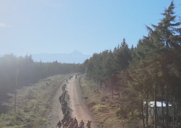 B-Roll: US, multinational partners conduct road march during Justified Accord 2025