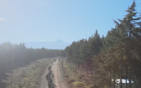 B-Roll: US, multinational partners conduct road march during Justified Accord 2025