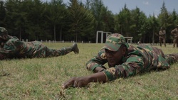 B-roll: Multinational troops conduct small unit tactical training during Justified Accord