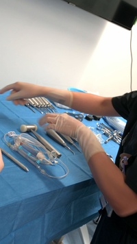 Walking With Wyverns: Dental Technicians