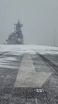 Snow Falls Onto Wasp