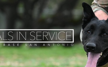 Animals in Service: MWD Tobi