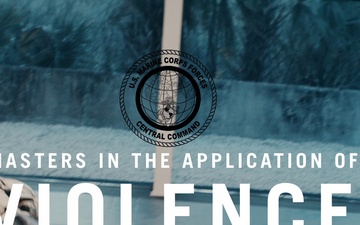 MASTERS IN THE APPLICATION OF VIOLENCE