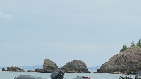 DVIDS - Video - EOD simulated underwater mine defusal for