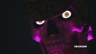 AFN Spotlight: Halloween Decorator