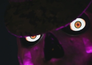 AFN Spotlight: Halloween Decorator