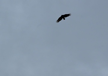 February Coyote Community Connection-Lt. Dan Band visits FHL