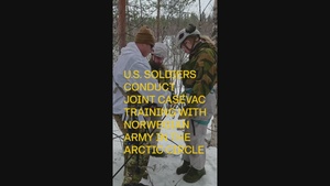 MLRS battalion medics conduct rappelling and casualty extraction course with Norwegian Army medics
