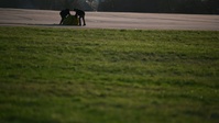 69th Expeditionary Bomb Squadron conduct operations during Bomber Task Force Europe 25-2