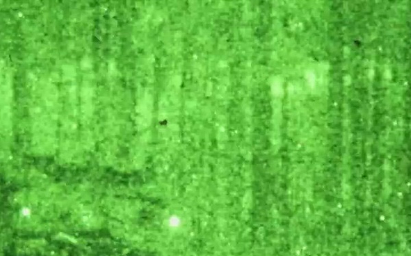 Spartan Brigade Enhancing Warfighting Capabilities with Marne Focus