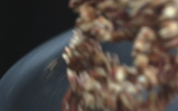 Dogface Soldiers Compete in the 49th Joint Culinary Training Exercise