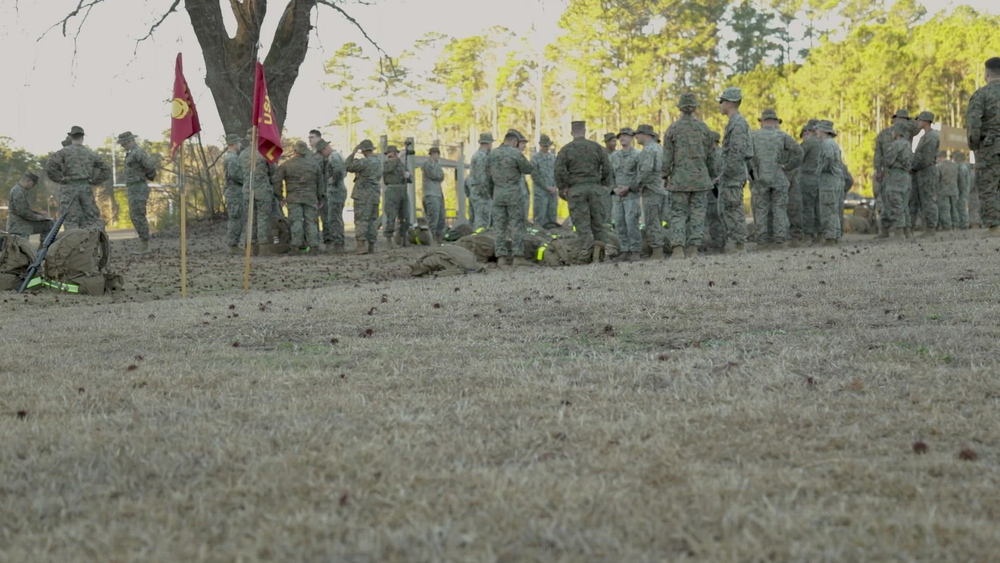 Video, image size:2000x1125