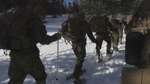 MTX 25-2 Tactical Hike