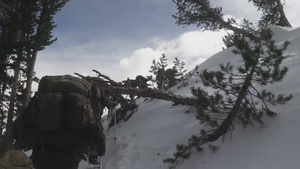 MTX 25-2 Tactical Hike
