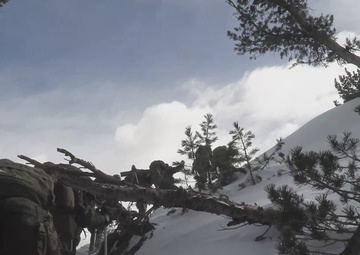 MTX 25-2 Tactical Hike
