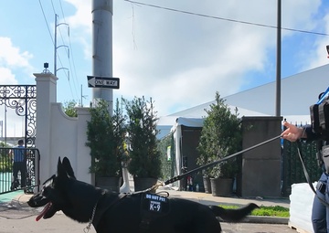 US Coast Guard K-9 Teams Secure Super Bowl LIX Events