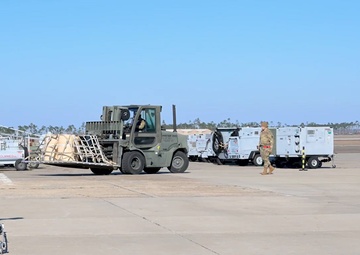 B-ROLL 3 of 4: Exercise Noble Panther 25-2