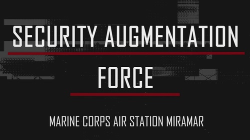 Security Augmentation Force
