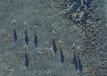 3d MLR | Pohakuloa Training Exercise