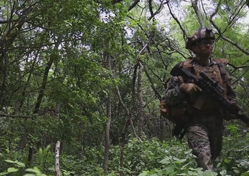 Pacific Marine Advanced Infantry Training – SOI West