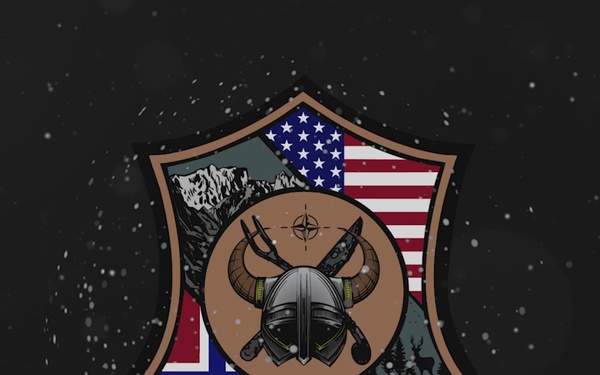 Exercise Joint Viking 25 Video Stinger