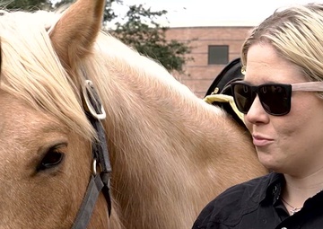 Marine Corps Mounted Color Guard visit Alief Taylor High School