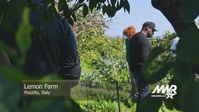 MWR Tour of Lemon Farm