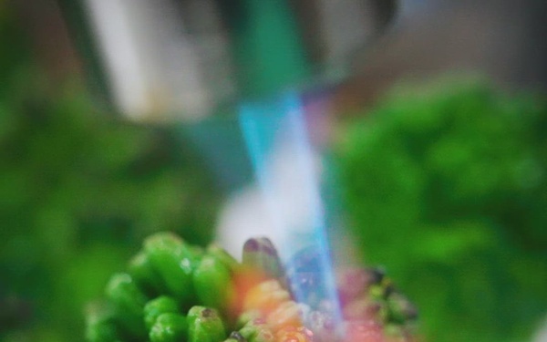 U.S. Army Reserve Culinary Arts Team teaser (vertical 4x5)