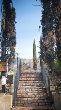 Caring For Trees and Protecting Communities