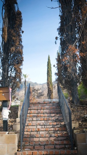 Caring For Trees and Protecting Communities