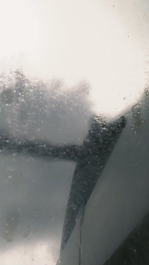 Reel: U.S. Marines with VMM-164 conduct an MV-22 Osprey training flight