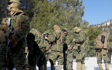 U.S. Marines with 1st Battalion, 6th Marine Regiment, 2d Marine Division conduct a live-fire range during MTX 2-25