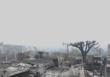 U.S. Marines with Task Force Atlas assists in LA wildfire cleanup