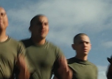 Mike Company CFT