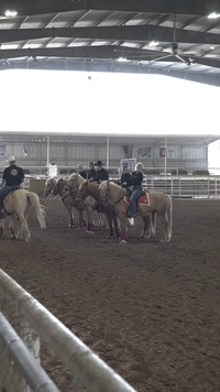 B-Roll: Mounted Color Guard visits Brazoria County, Texas