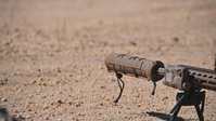 Joint Base McGuire-Dix-Lakehurst – 1-175 IN – Light Sniper Training – 21, MARCH 2025