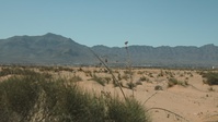 JTF-SB Strykers prepare for first patrols along southern border.