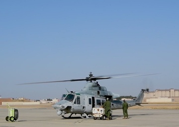 Military Working Dog Helicopter Training