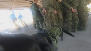 Salaknib 25 | Military Working Dog Subject Matter Expert Exchange