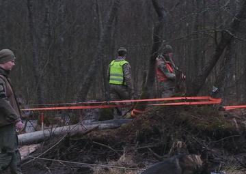 B:Roll; Search and rescue dogs assist in recovery efforts of missing U.S. soldier